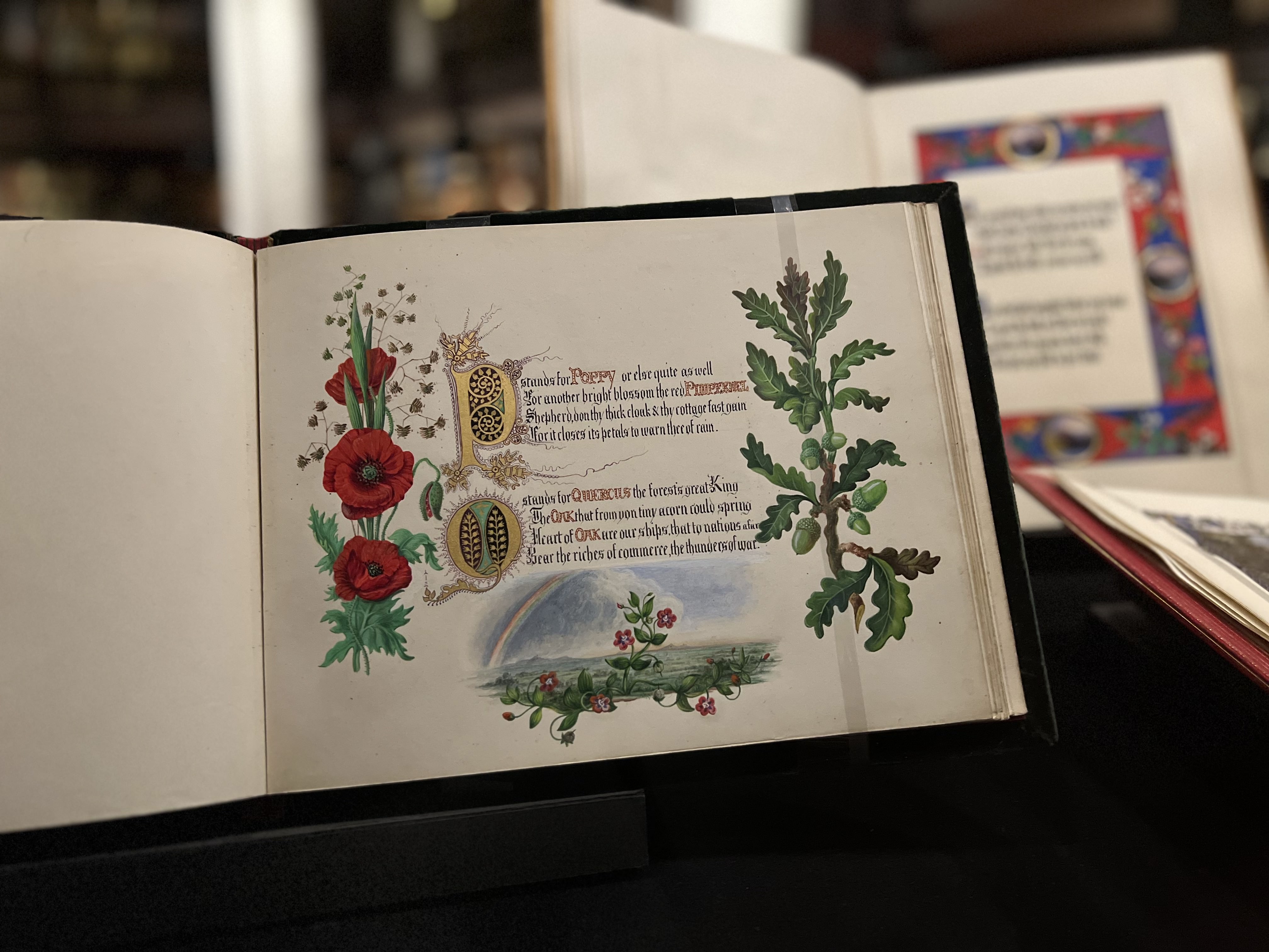 Interior of The Alphabet of Wild Flowers, an 1857 manuscript illuminated by Lady Louisa Strange