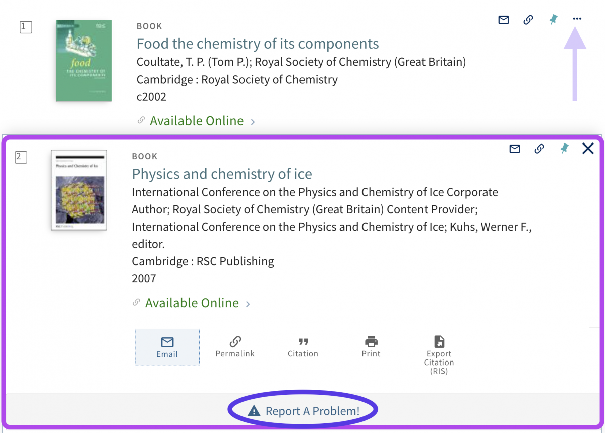 Report a problem link in item record circled 