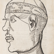 A diagram of a person's brain from a medical textbook with Latin text indicating various sections